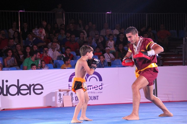 Martial Arts Festival